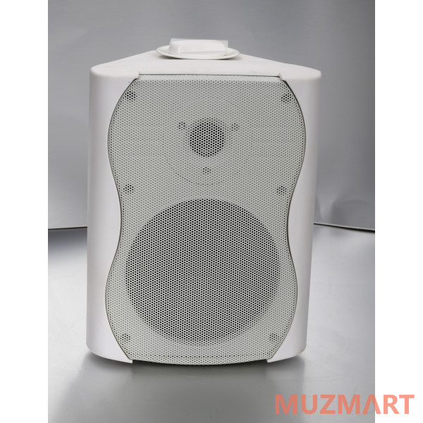 SVS Audiotechnik WS-20 White Громкоговоритель настенный