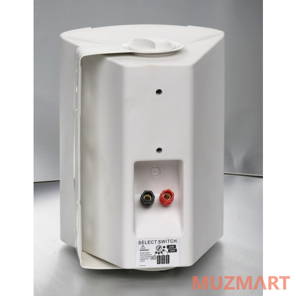 SVS Audiotechnik WS-20 White Громкоговоритель настенный