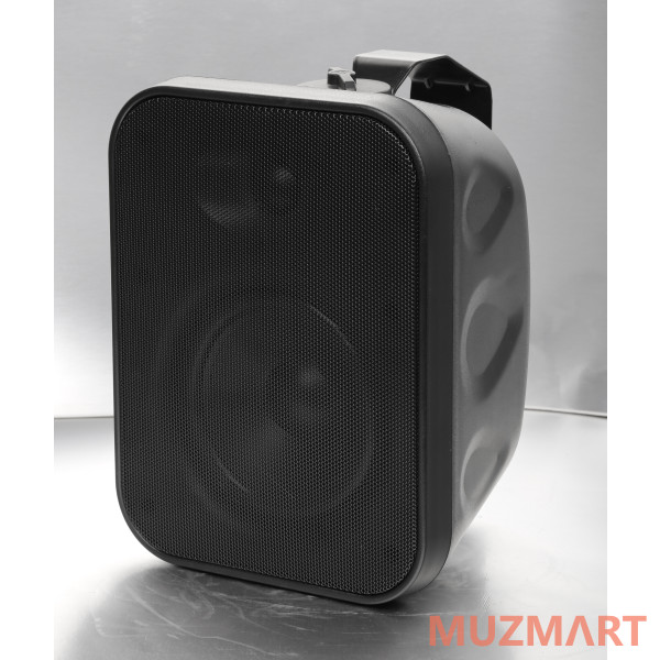 SVS Audiotechnik WSP-60 Black Громкоговоритель настенный