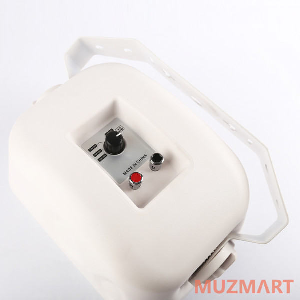 SVS Audiotechnik WSP-60 White Громкоговоритель настенный