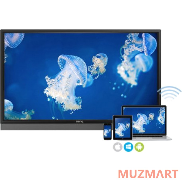 BenQ RM6501K Black Панель интерактивная