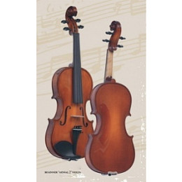 Gliga B-V044-Set Beginer Genial 2 Nitro Скрипка 4/4 с чехлом