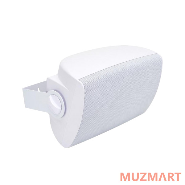 Cloud Electronics СS-S6W 6-дюймовый, двухполосный, настенный громкоговоритель