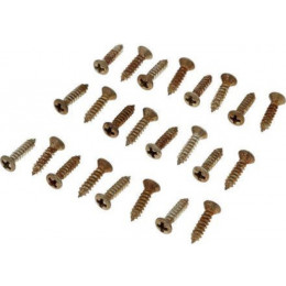 Fender RDWRN PKGRD/CNTRL PLATE SCREWS (24) Набор винтов