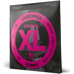 D'Addario ECB81S Комплект струн для бас-гитары 45-100