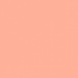 Rosco Bastard Amber 0200022 Световой фильтр Roscolux