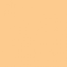 Rosco 0203022 Pale B. Amber Световой фильтр Roscolux