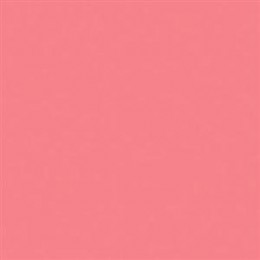 Rosco 31 Salmon PINK; Светофильтр пленочный Supergel