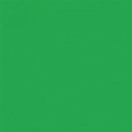 Rosco 89 Moss Green Светофильтр пленочный Supergel