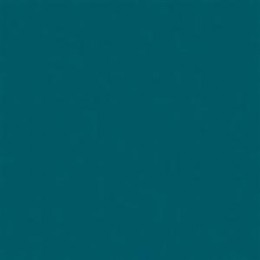 Rosco 95 Medium Blue Green Светофильтр Supergel