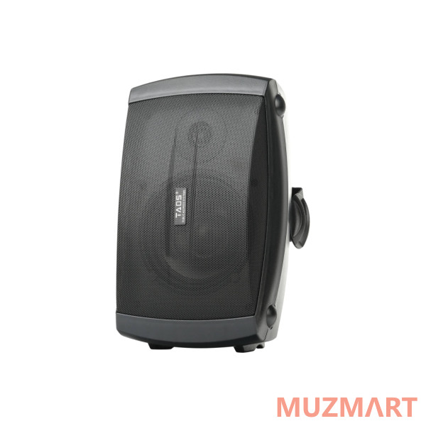 TADS DS-854-BLACK Громкоговоритель настенный, 30Вт