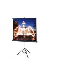 Projecta Proview Matte White 152x152 Проекционный экран
