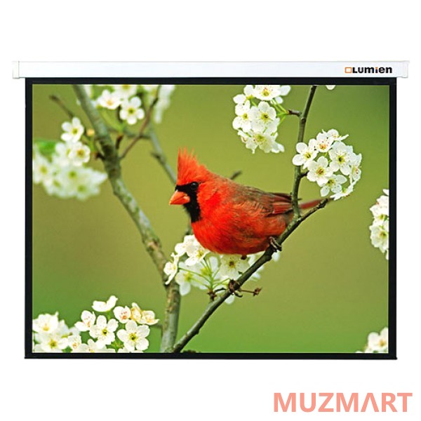 Lumien Master Picture (LMP-100109) Matte White Fiberglass Проекционный экран 153х203