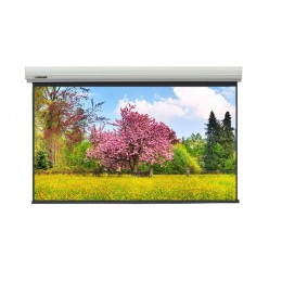 Lumien LMLC-100109 Master Large Control Matte White Проекционный экран 422x656