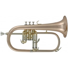 Roy Benson FH-302G Флюгельгорн Bb