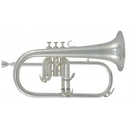 Roy Benson FH-302S Флюгельгорн Bb