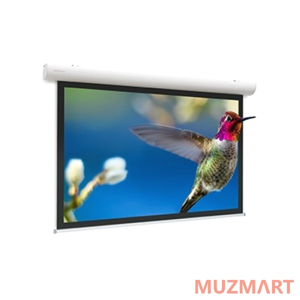 Projecta Elpro Concept [10103541] Проекционный экран с электроприводом 191x300 см