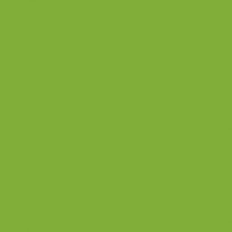 Rosco Supergel #86 Ацетатная пленка, цвет Pea Green