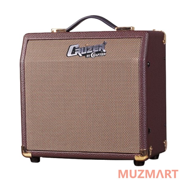 Cruzer CR-15A Комбоусилитель для акустической гитары