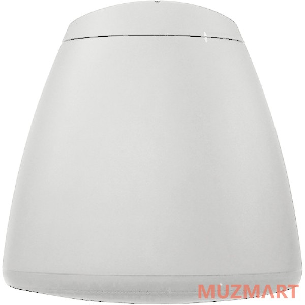 Soundtube RS82-EZ-WH Коаксиальная подвесная АС