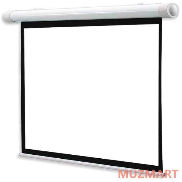 Draper Salara NTSC (3:4) 305/120" 175*234 XH800E (HCG) Экран с электроприводом