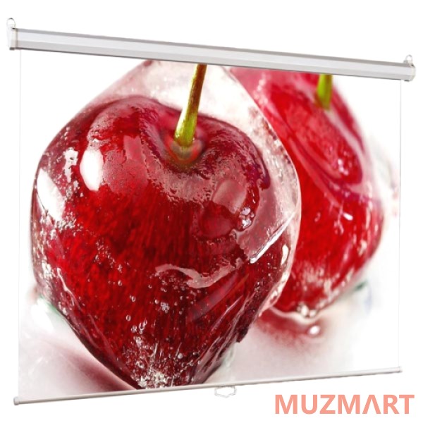 ViewScreen Scroll (1:1) 200*200 (200*200) MW Проекционный экран