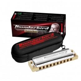 Hohner Marine Band Thunderbird Low E (M201115) Губная гармоника